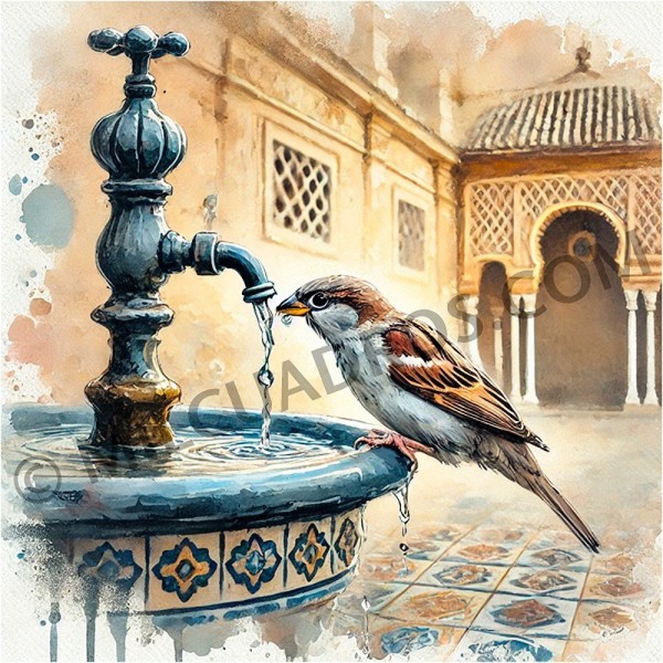 CU-CO-GORRION-EN-LA-FUENTE