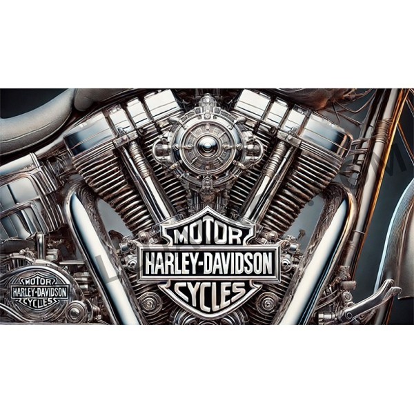 RE-IN-HARLEY-1