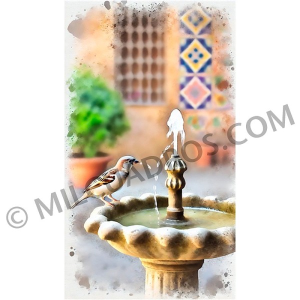 VE-CO-GORRION-EN-LA-FUENTE-2