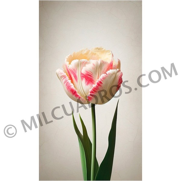 VE-CO-TULIPAN-ROSADO